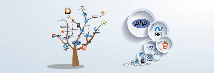 2017年Web開(kāi)發(fā)者技能學(xué)習(xí)路線圖